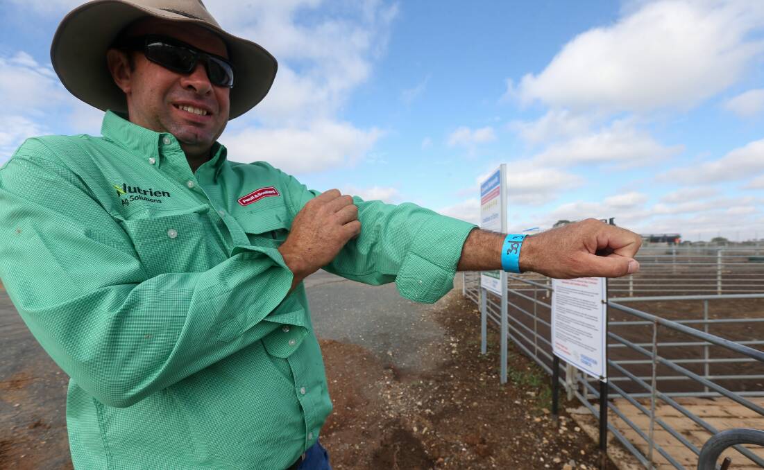 NECESSARY STEPS: Agent Kelvin Kuhne displays the wristband those in attendance at the Corowa saleyards were forced to wear for the first time. Picture: TARA TREWHELLA