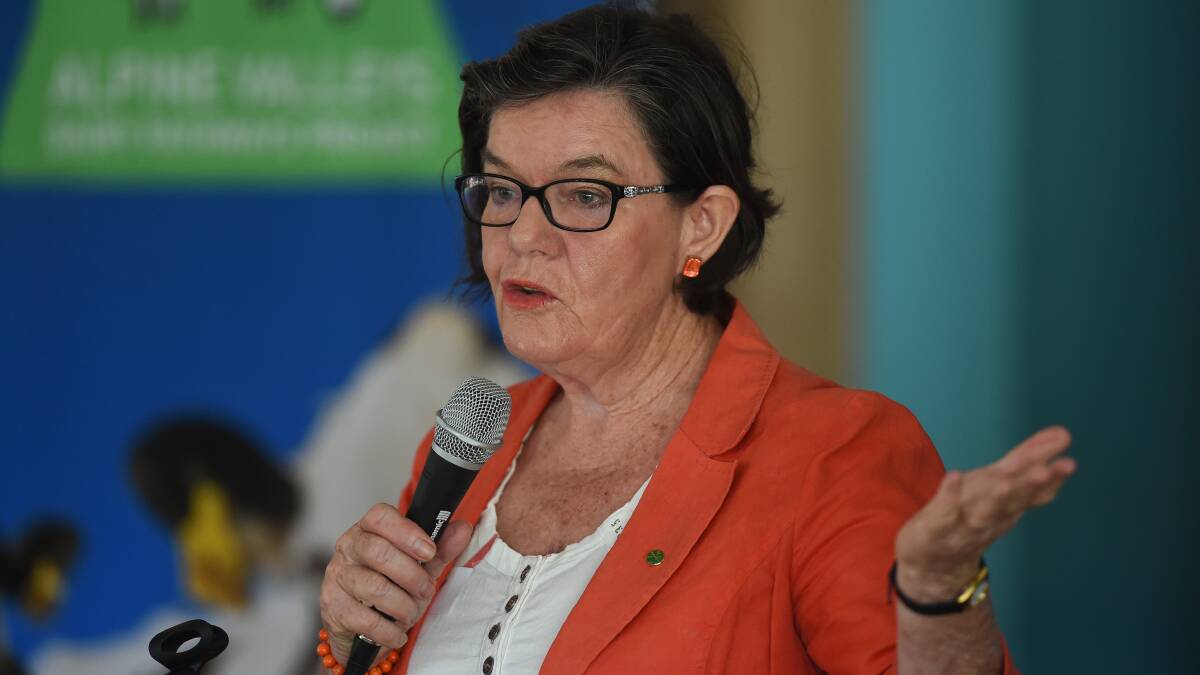 Indi MP Cathy McGowan has maintained penalty rates are an issue for Fair Work Commission.
