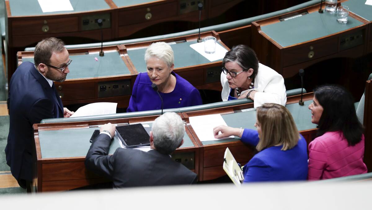 HIGH STAKES: Cathy McGowan and fellow crossbenchers joined forces with Labor to defeat the government on medical transfers for refugees.