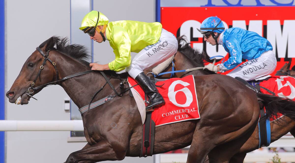 FLASHBACK: Kourkam beats the Aquanita Racing-trained Verdant in the 2015 Albury Gold Cup. Verdant allegedly received a bicarbonate soda "top-up" before the race.