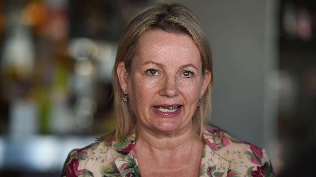 Farrer MP Sussan Ley wants to see testing personnel boosted on border.