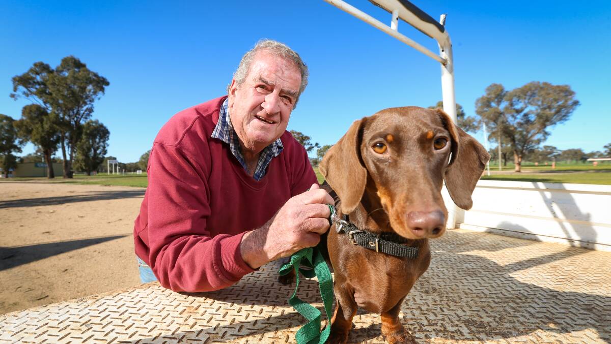 Former Henty Machinery Fields Day chairman Ross Edwards and his dog, Ralph. Picture: JAMES WILTSHIRE