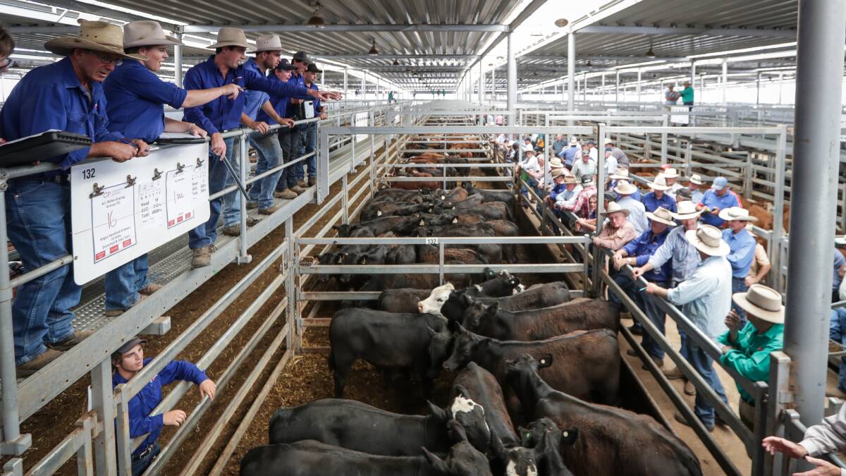 Ag permits timely return for Wodonga weaner sales