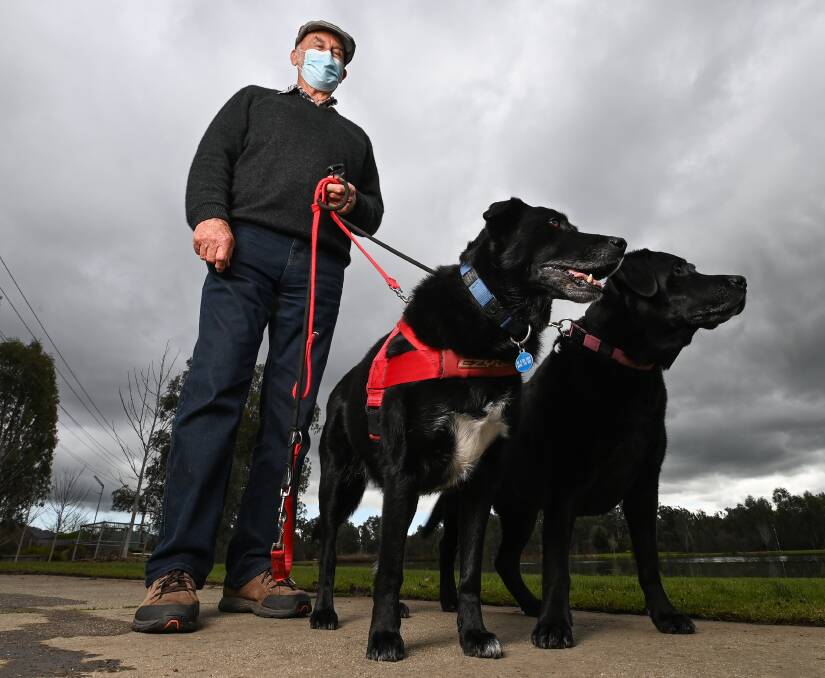 TIGHT HOLD: Wodonga resident Ian Woonton with his dogs, Sam and Annie, on a walk in Sumsion Gardens. They are correctly on leash according to council rules. Picture: MARK JESSER