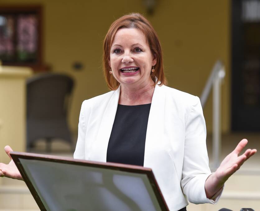 Former health, aged care and sport minister Sussan Ley.