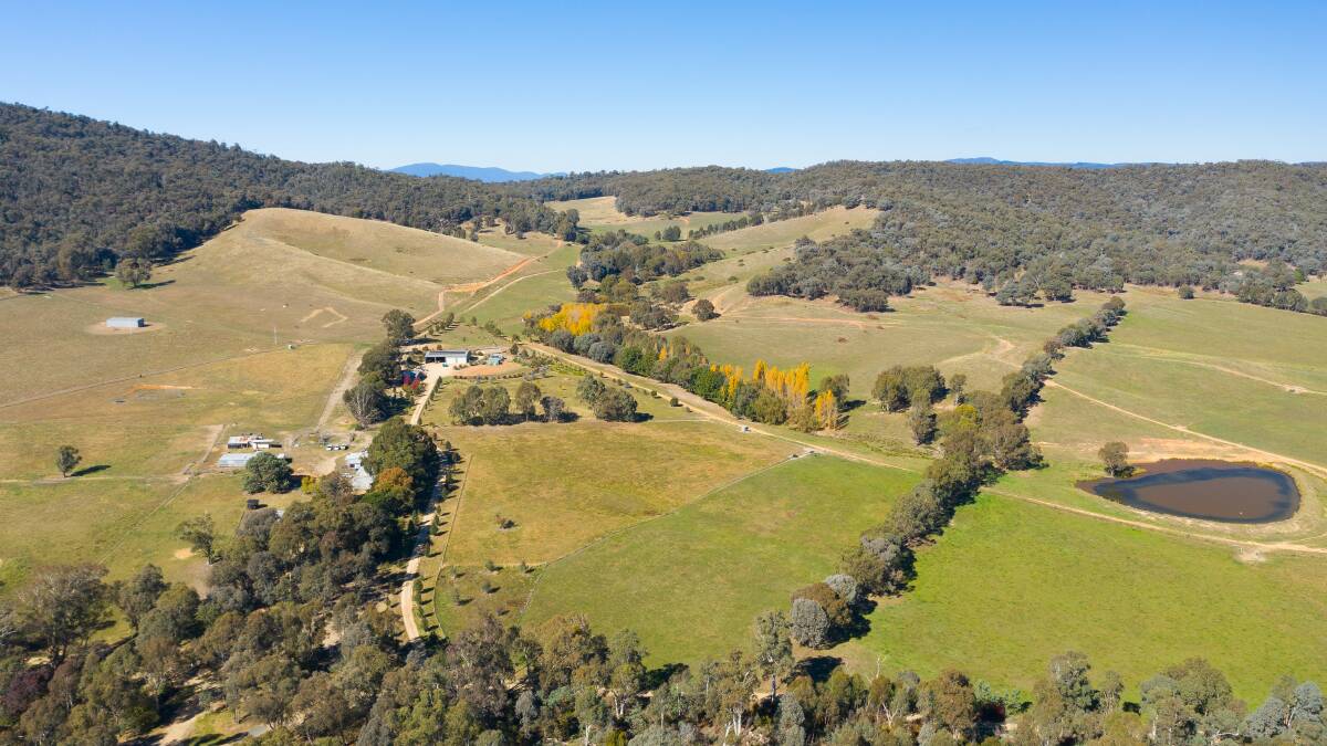 BIDDING FRENZY: Four parties went hard for 200 acres at Wooragee during an online auction conducted by Corcoran Parker on Thursday night.