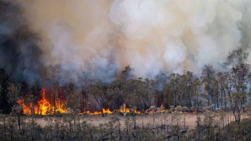 Big wet to spell end to bushfires