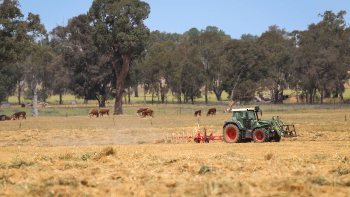 SIGN OF THE TIMES: A crop between Jindera and Burrumbuttock is being prepared for hay ahead of forecast rain this weekend. Picture: JAMES WILTSHIRE