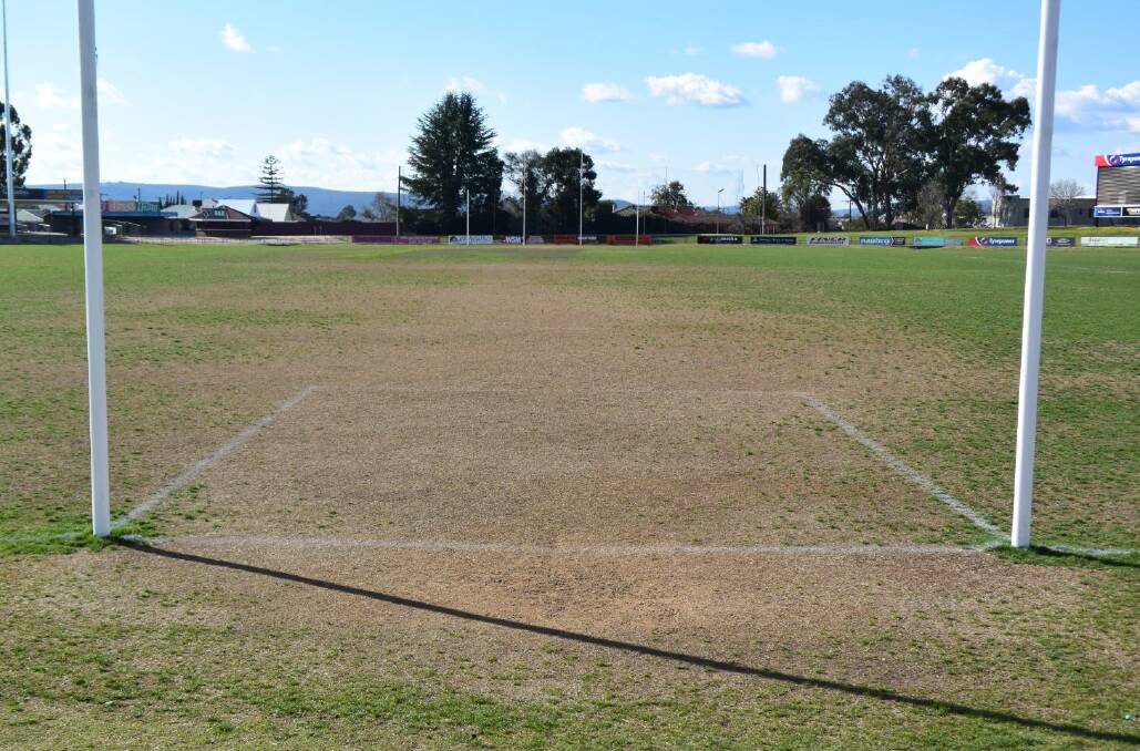 GROUNDS FOR CONCERN: Wodonga Bulldogs home ground is showing the signs of turf disease pythium which was first detected in June. The O and M preliminary final will be still be played at the venue.