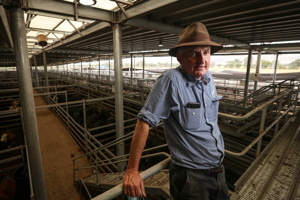 SUPER SALE: Stock Agents Association president Peter Ruaro at North Barnawartha where four sales will be held in four next month. Picture: JAMES WILTSHIRE