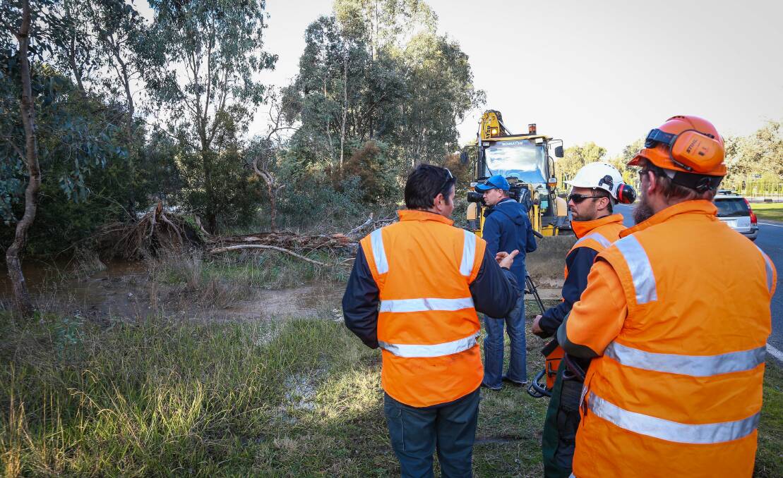 Albury Council staff assess the damage caused by a large tree falling onto a water main in Thurgoona on Thursday. Picture: JAMES WILTSHIRE