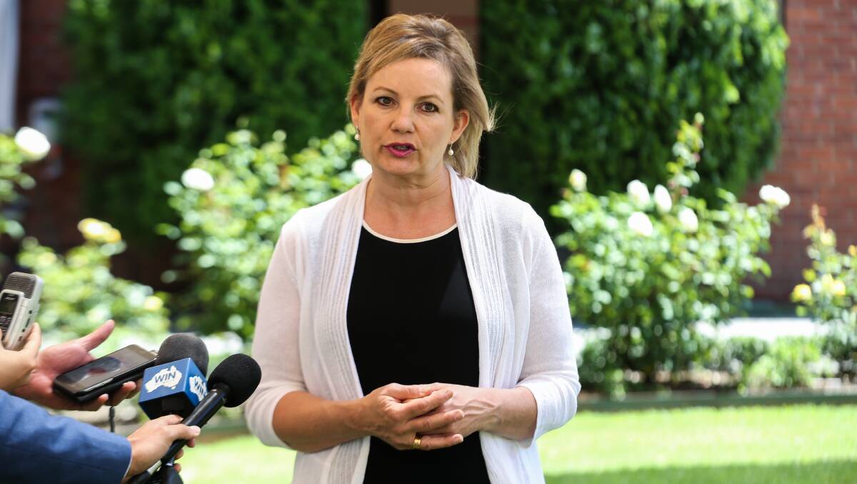 FACING THE MUSIC: Member for Farrer Sussan Ley resigned as health minister in 2017.