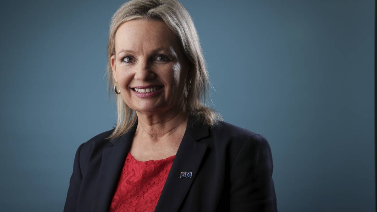 Federal environment minister Sussan Ley