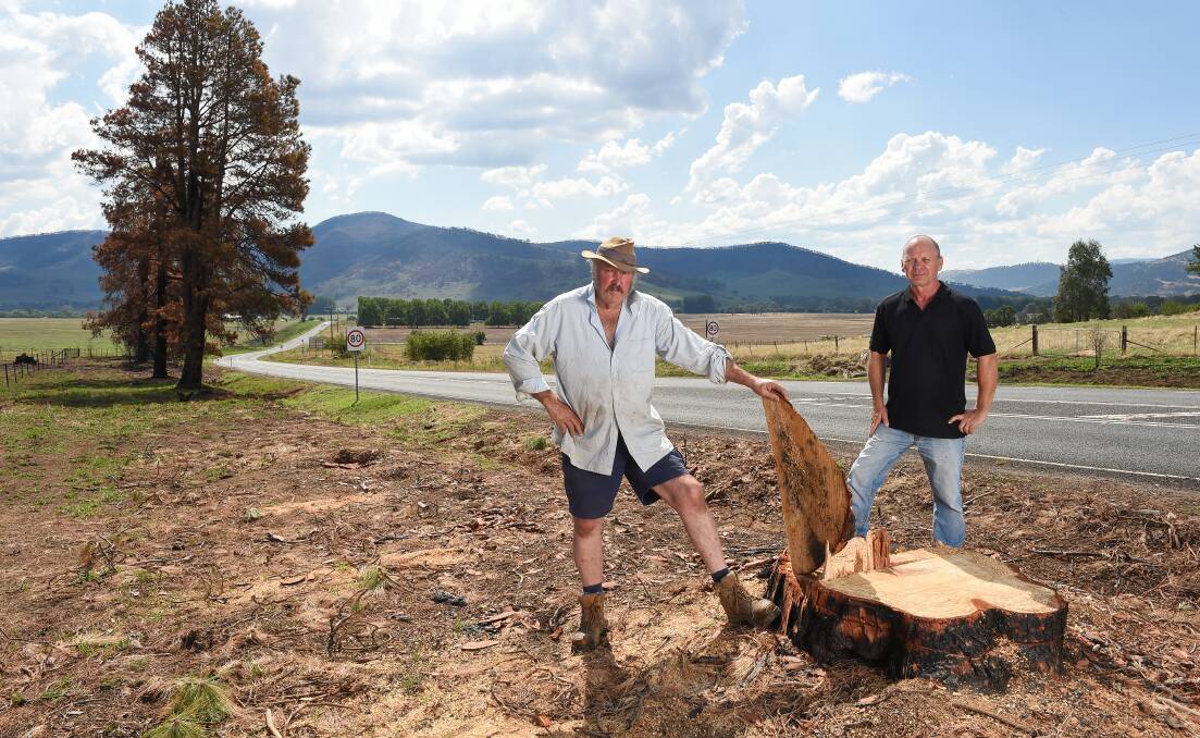 UNITED IN ANGER: Tintaldra's Phil Coysh, left, and Corryong RSL secretary Greg Nankervis survey fallen historic trees. Picture: MARK JESSER