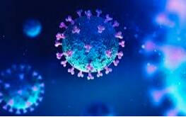 Coronavirus testing centre established at Benalla in last 24 hours