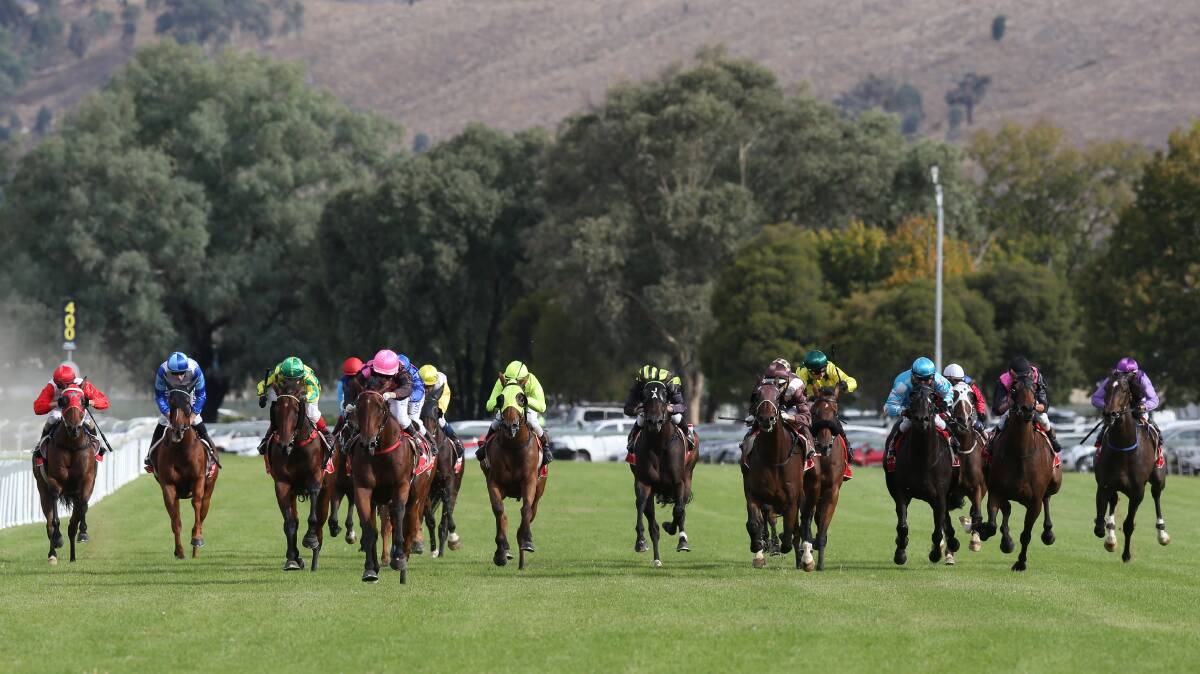 CARNIVAL IS OVER: The Albury Gold Cup carnival is not going ahead next week.