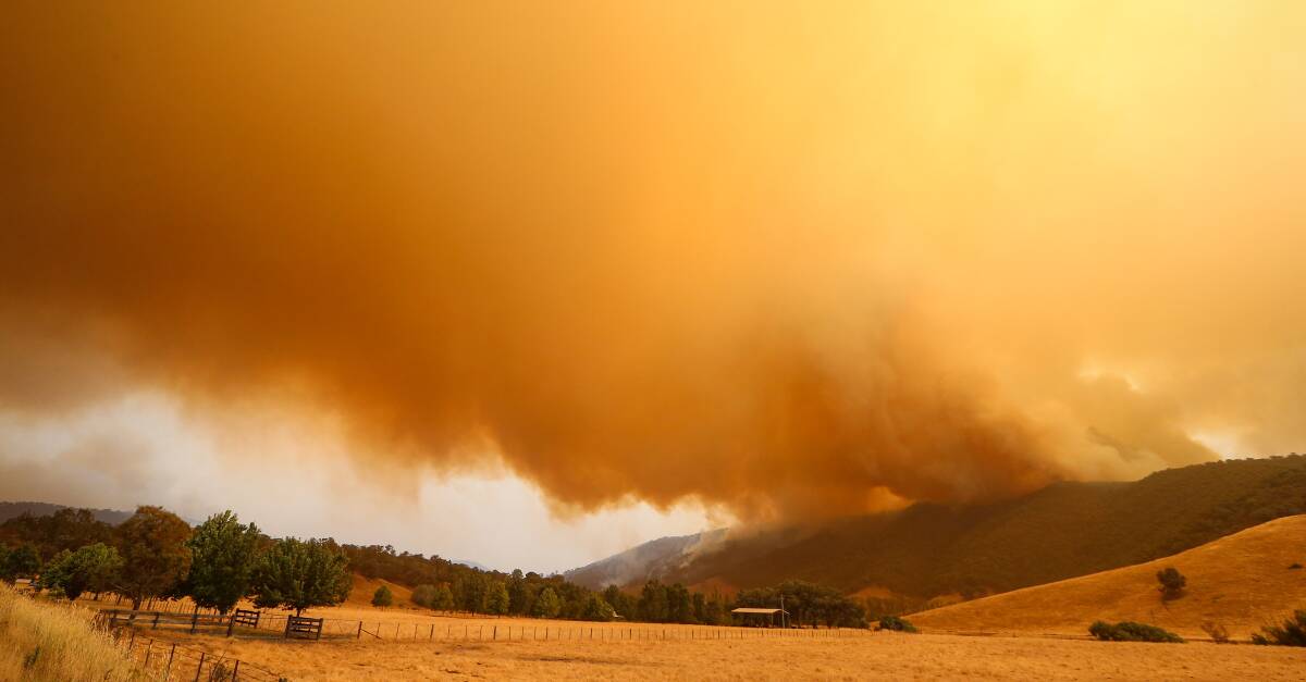 Bushfires raged through southern NSW and the Upper Murray last summer.