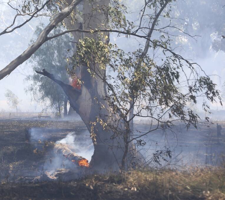 CREEPING FLAMES: One of the first respondents, Andrew Cofield, told of how flames from the grass fire climbed trees. 