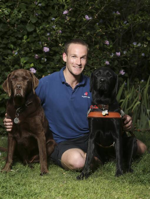 LOYAL LABS: Daniel Searle has made the heartbreaking decision to retire Bear as his guide dog and has a new assistant called Frodo. Picture: ELENOR TEDENBORG
