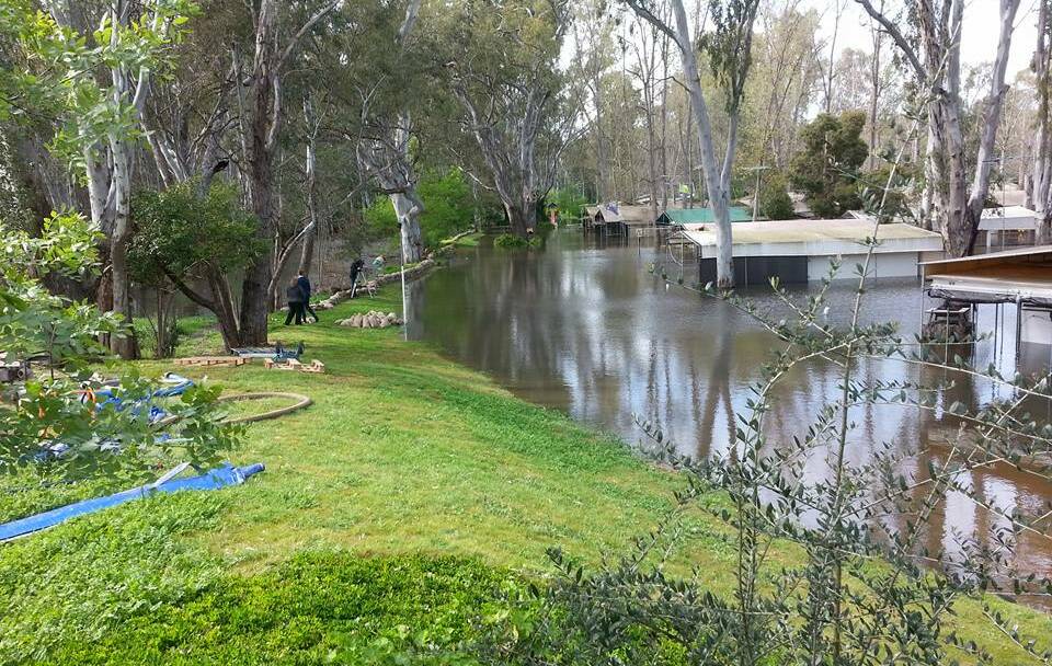 RIVER DEFEAT: Corowa Caravan Park manager Julie Bartlett accepts floods will happen, but said the severity of the flood could have been reduced with good management.