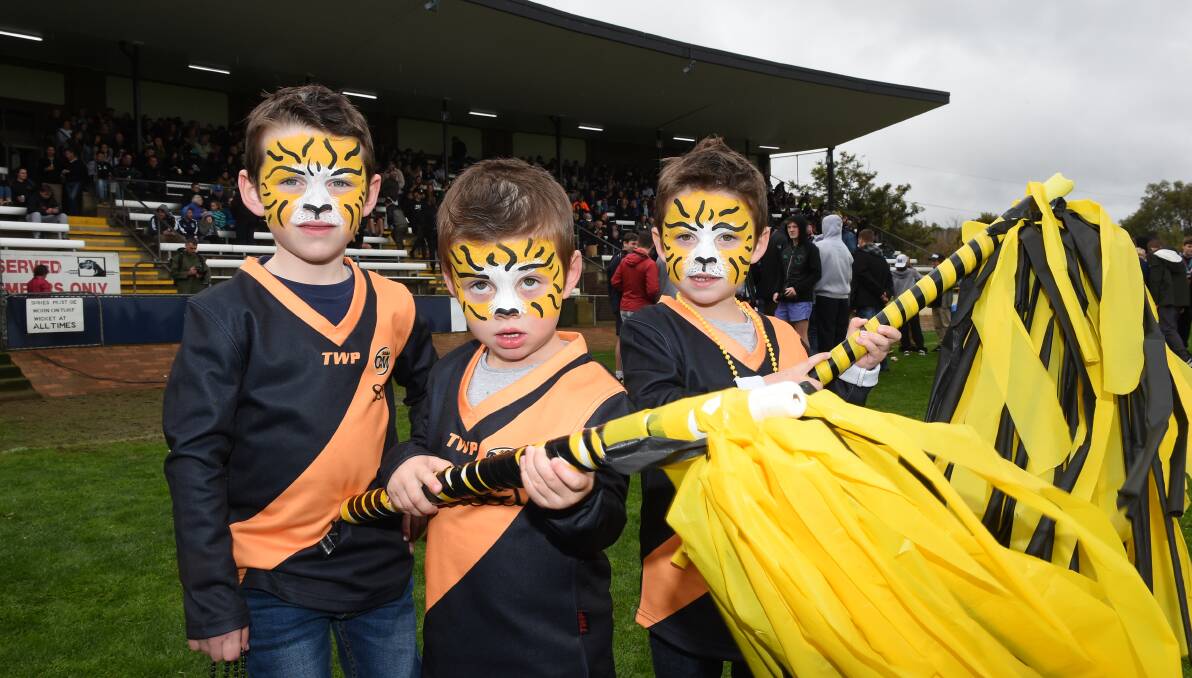 DRESSED UP: Will Packer, 6, with his brothers Charlie, 3, and Mitch, 4, covered head-to-toe in Albury colours.
