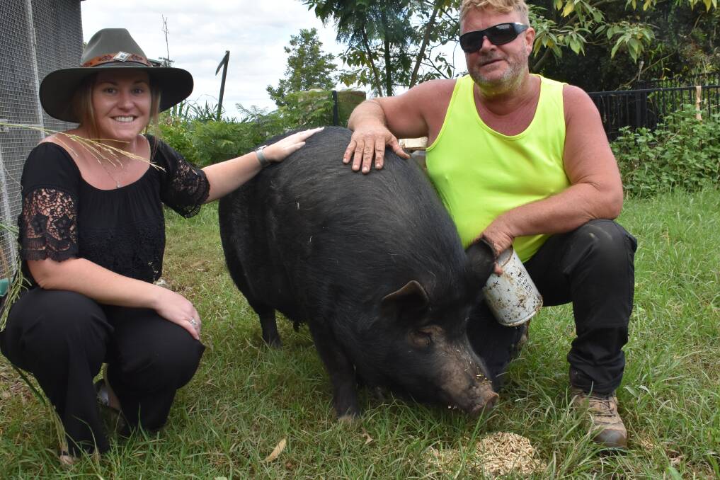 BUBBA THE PIG: Steve Hurrell and partner Louise Fleming with Bubba.