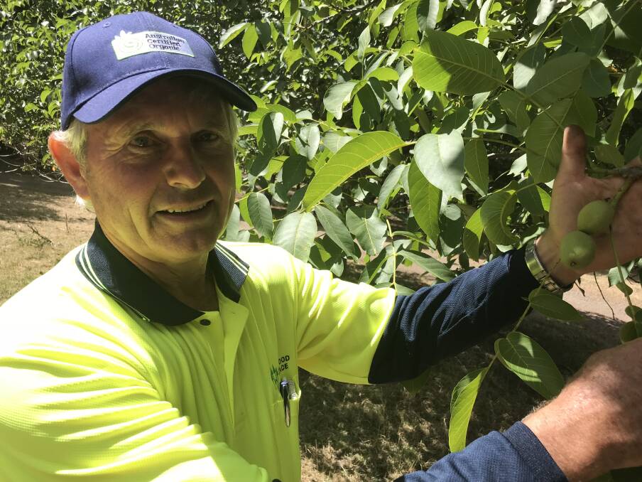 NUT FARM: Wallace walnut farmer Phil Farnell shares his experience operating an organic nut farm as host of the National Walnut Conference. Farmers from across the country spent the weekend learning and networking in Wallace.  