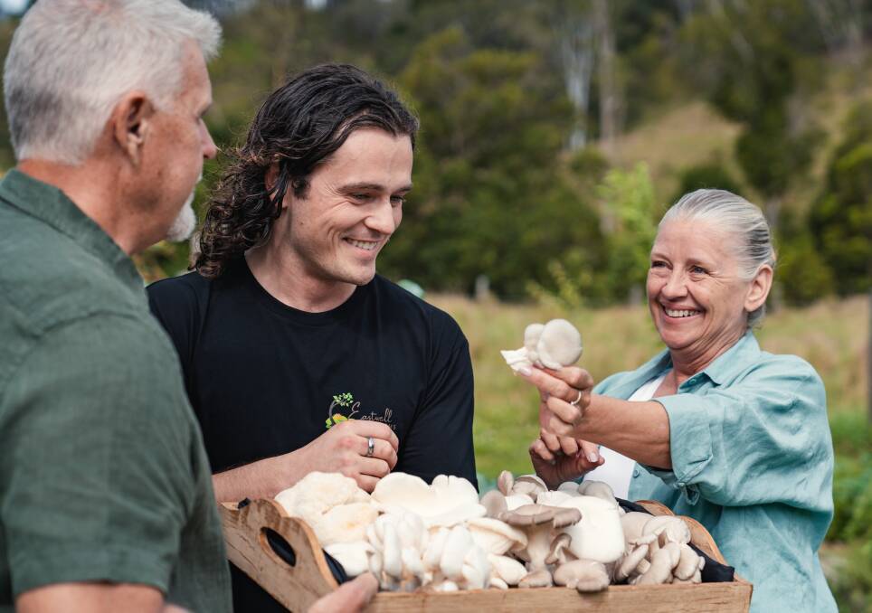 Discover the range of exotic mushrooms grown at Eastwell Farms. Picture Visit Sunshine Coast.