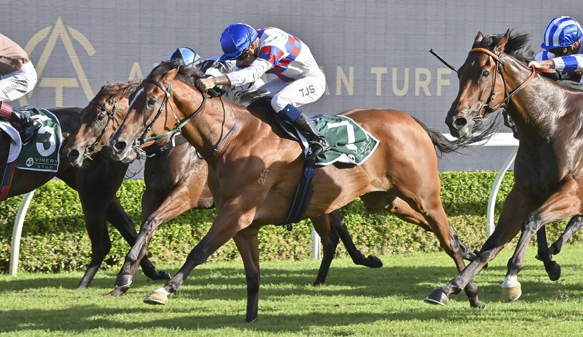 In-form mare Everyone's a Star is one to be considered in Race 7 - the Bivouac First Yearlings Handicap over 1150 metres. Picture Bradley Photos 