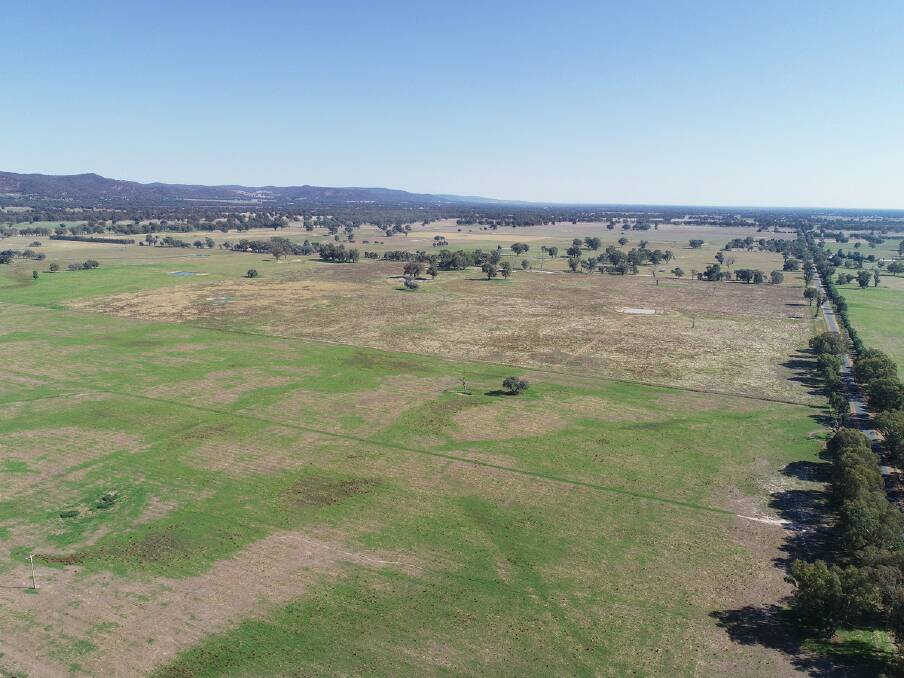 FARM LAND: The property, titled Magee's, sold for $722,000 at auction on Friday by Corcoran Parker Rural.