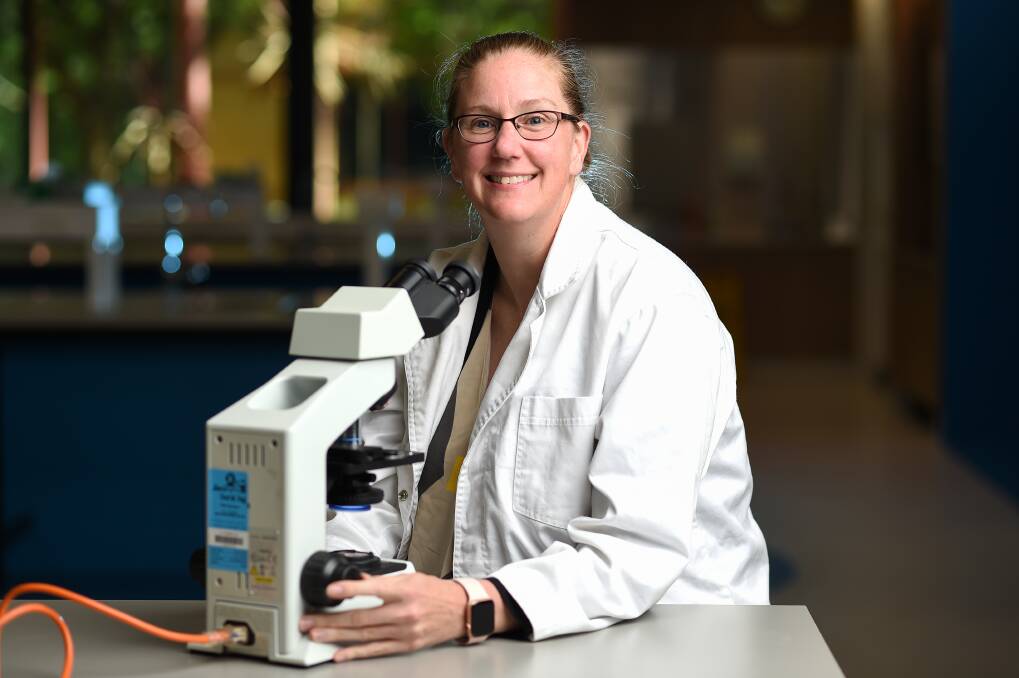 RESEARCH: Doctor Cathryn Hogarth is looking into how sperm matures to help better understand male infertility. Picture: MARK JESSER