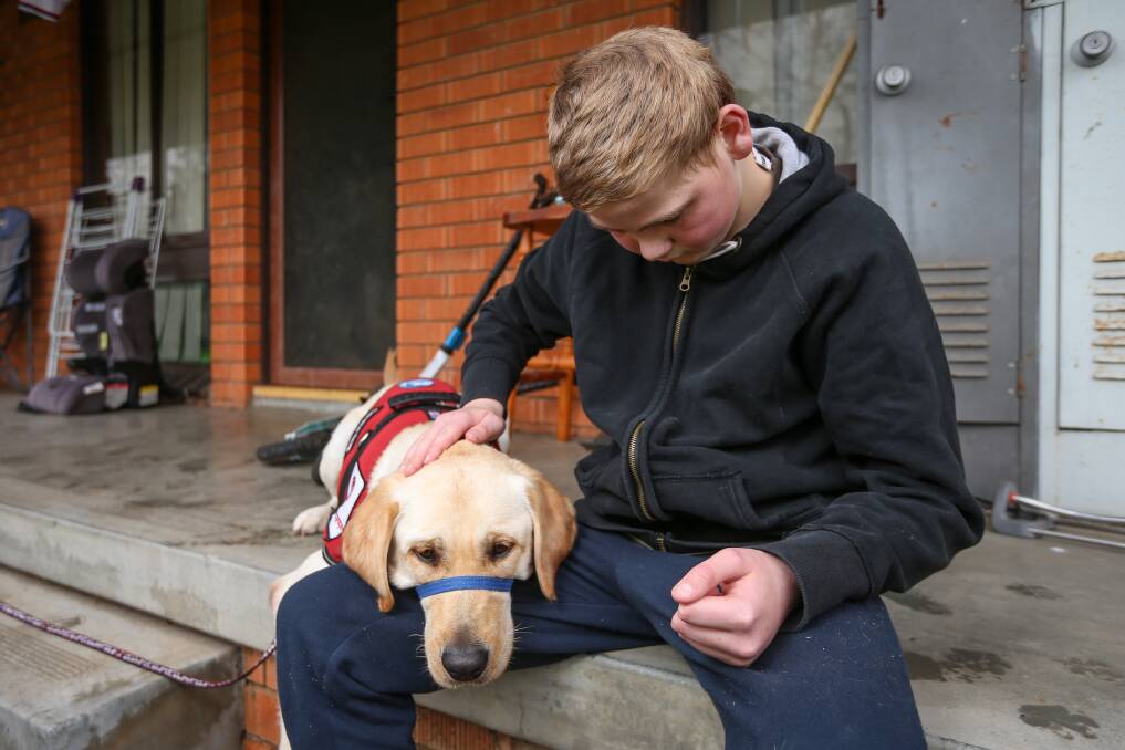 BEST MATES: Corey Moore, 11, with his new autism assistance dog Gordy are already forming a close bond. Pictures: JAMES WILTSHIRE