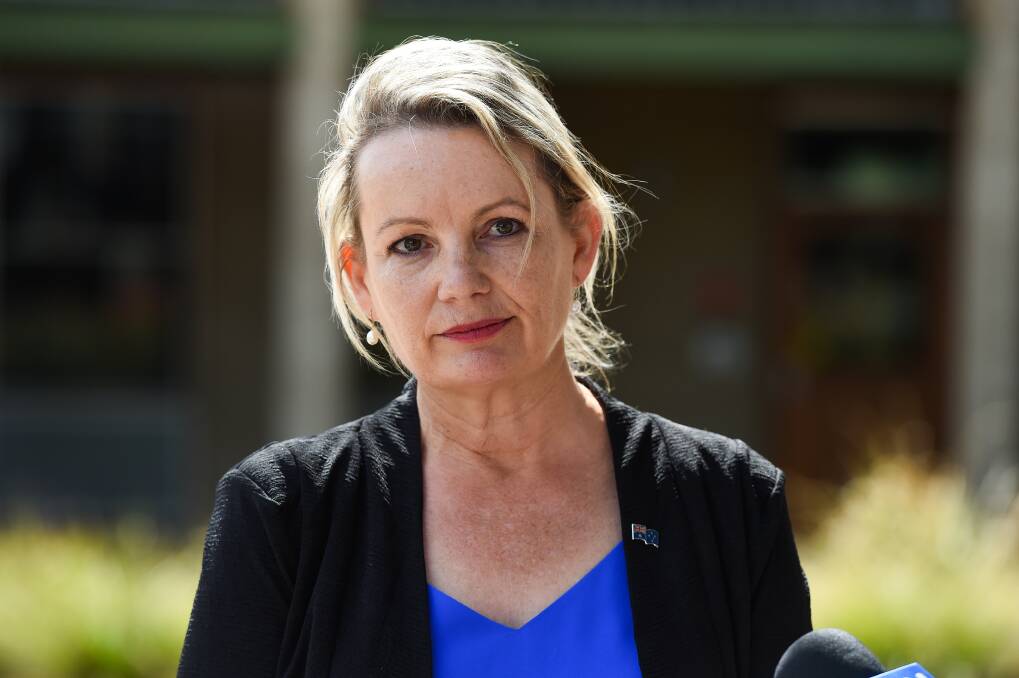 HIT BACK: Member for Farrer Sussan Ley has hit back at Kevin Mack saying the $80 million buyback deal was above board and he should look elsewhere for questionable deals. Picture: MARK JESSER