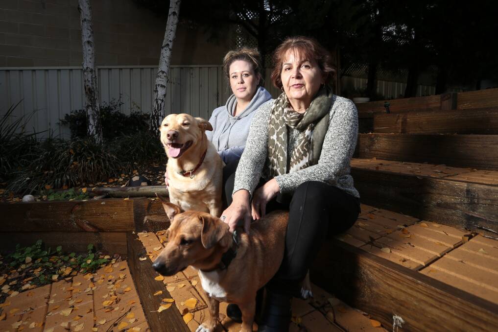 LUCKY POOCHES: Aude Sutherland and her mother, Anne-Marie Schmitt with the dogs, Dingo and Barney. PIcture: JAMES WILTSHIRE