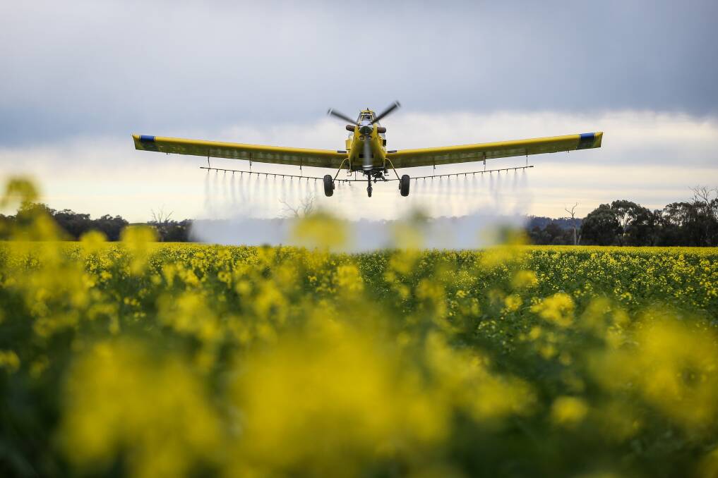 SEA OF YELLOW: Hazair's Air Tractor 402 is busily spraying canola crops across the region helping to reduce yield losses. Pictures: JAMES WILTSHIRE