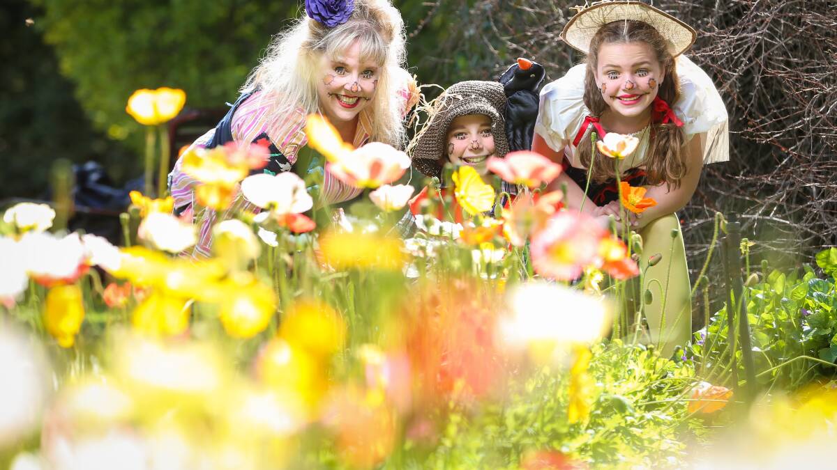 Festival aims to grow in Albury gardens