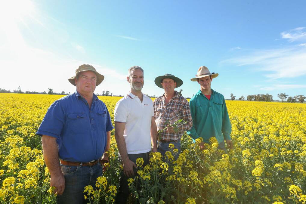 FAMILY: The Clancy family run their farming business at Pleasant Hills. Hugh, Gerard, Rick and Tom Clancy in their canola crops. Picture: TARA TREWHELLA