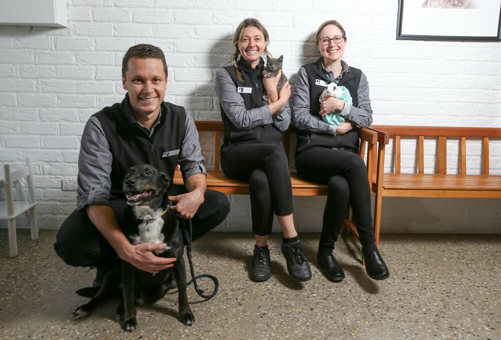 SAY CHEESE: Tom Wiltshire, Kim Hawley and Shelley Wiltshire from Townsend Veterinary Clinic will host the Pet Photography for a Cause event on Sunday with all money going to Pets in the Park charity. Picture: TARA TREWHELLA