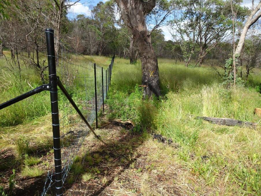PROTECTION: The new fence has been installed in the Upper Murray to protect endangered flora and fauna from deer following the summer bushfires. 