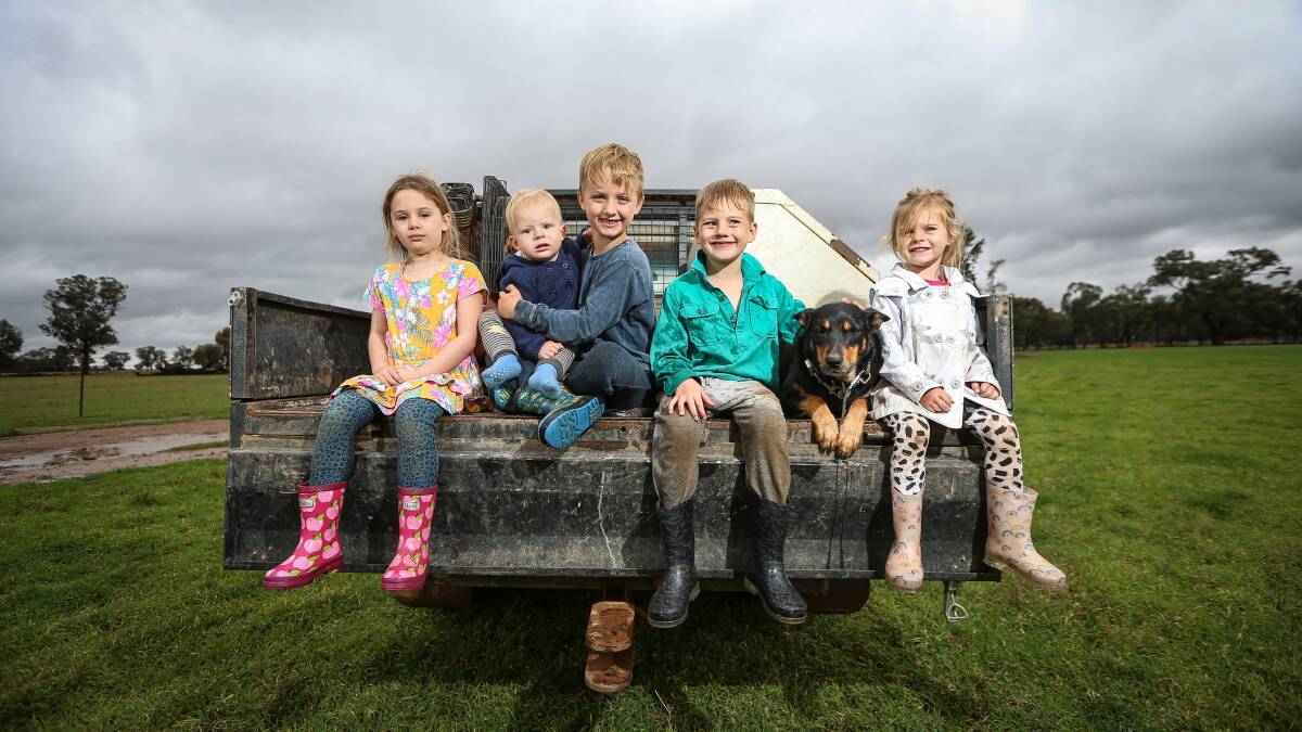 FAMILY: Milla Schilg, 4, Colby Schilg, 1, Billy Schilg, 6, Mac Schilg, 5 and Ruby Schilg, 3, with Rowdy the dog. Pictures: JAMES WILTSHIRE