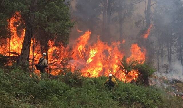 US Task Force Alpha were deployed to the Abbeyard fire last week. Today there are no firefighters battling the blaze due to the dangerous conditions after heavy rain. Picture: VIC EMERGENCY