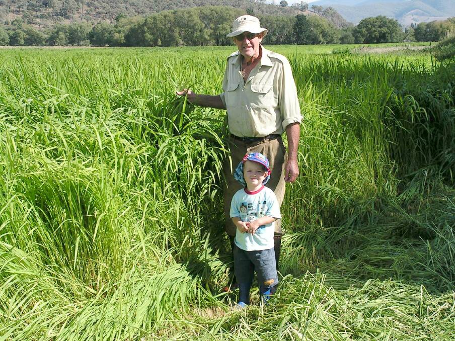 MULTIPLE GENERATIONS: John Whitsed, pictured with his grandson Zac, has runs his Corryong organic dairy farm with five different generations. 