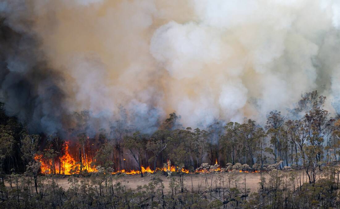 Picture: Forest Fire Management Victoria