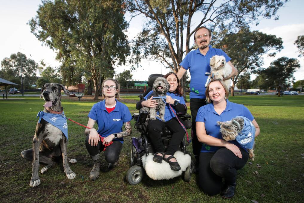 RSPCA: Chloe Cooper and Koda, Kate Fieldler and Gabby, Arthur Frauenfelder with Moet and Laura Black with Tiny. Picture: JAMES WILTSHIRE