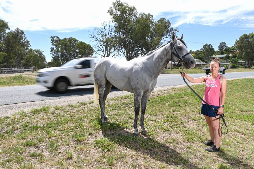 ENOUGH: Mitch Beer Racing employee Melissa Hingston with Spending to win on the stretch of Racecourse Road where trainers are calling for a crossing. Picture: MARK JESSER