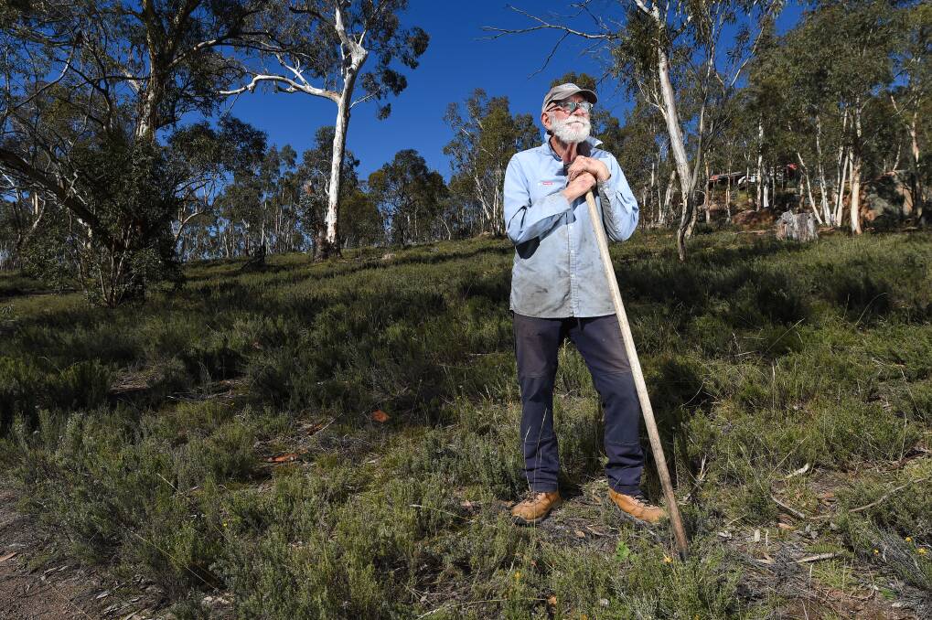 HIGH COUNTRY: Anglers Rest landholder Graham Brown is angered by the brumby culls.