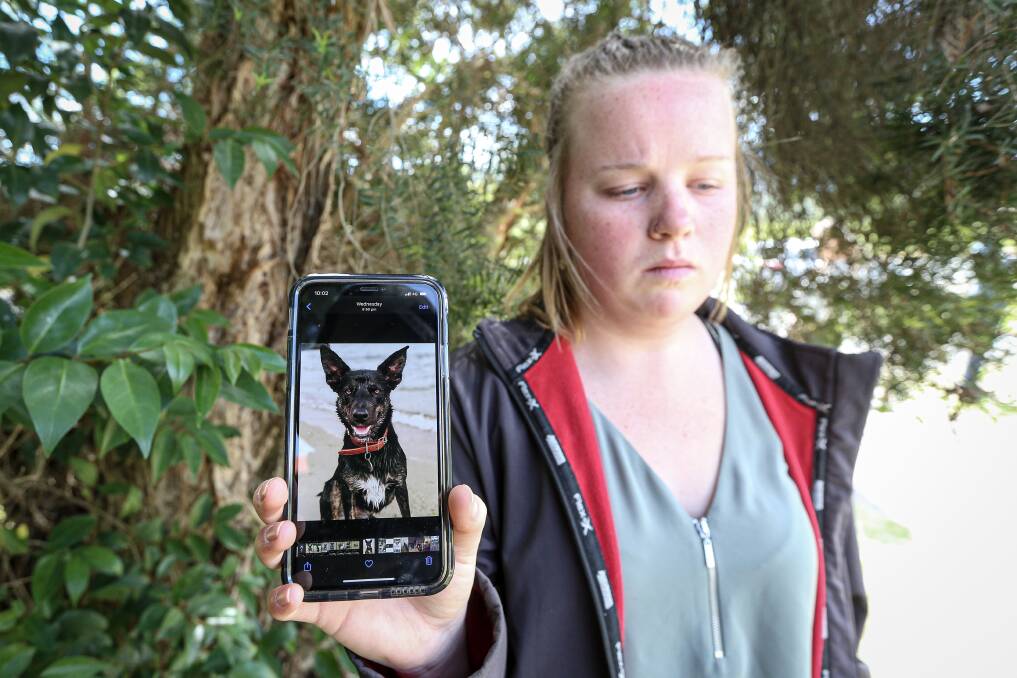 POLICE CALLOUT: Dederang police are calling on the public to help solve the vicious killing of Rhiannon Symons' pet dog Ezra. Picture: JAMES WILTSHIRE