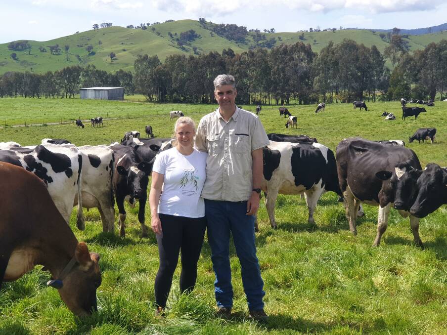 GREENER PASTURES: Dairy farmers Belinda and Scott McKillop have a range of procedures in place to help manage the changing climate. 