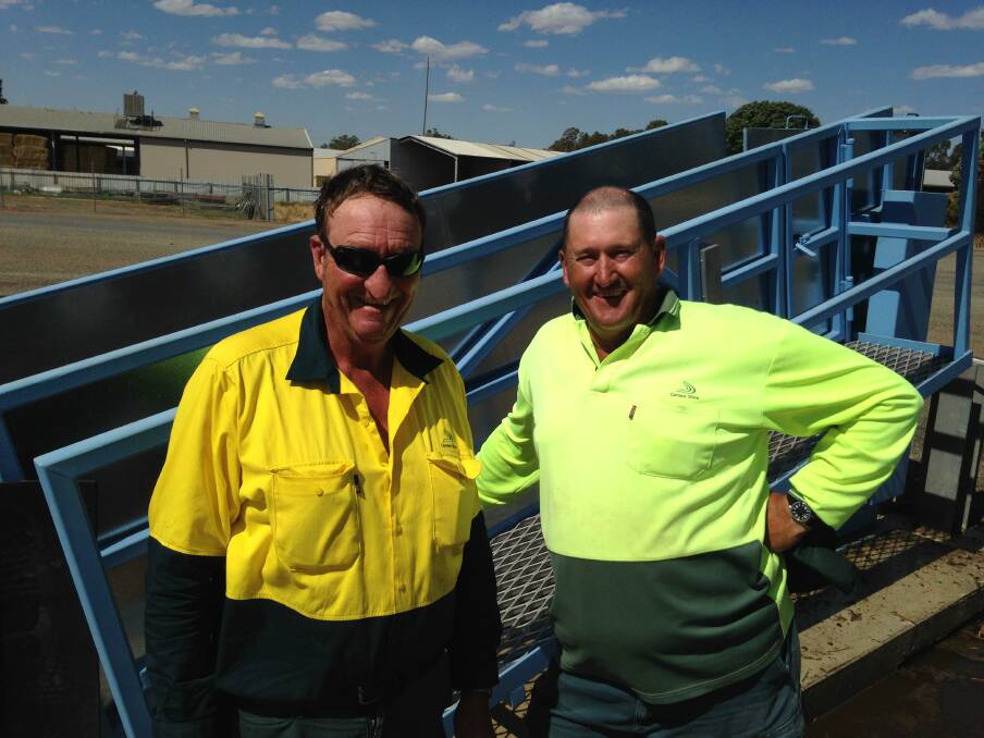 Federation Council employees Mark Parsons and Rod Lavis at the Corowa Saleyards.