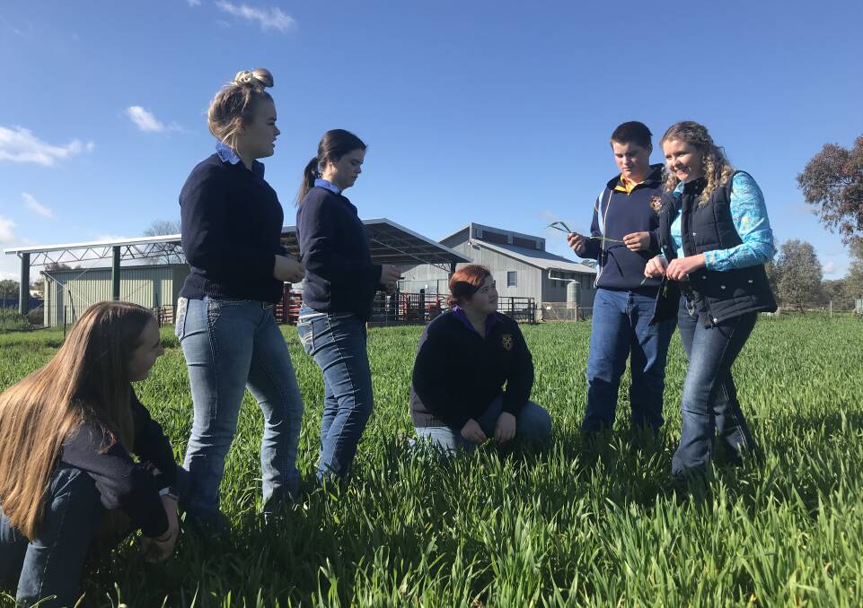 Students to keep up with 'reality of ag' by taking virtual judging comp
